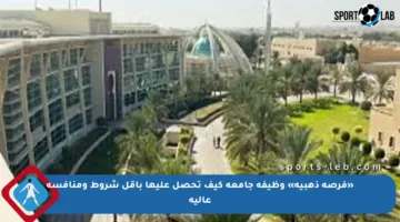 «فرصة ذهبية» وظيفة جامعة كيف تحصل عليها بأقل شروط ومنافسة عالية